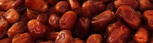 Aseel Pitted Dates Industrial